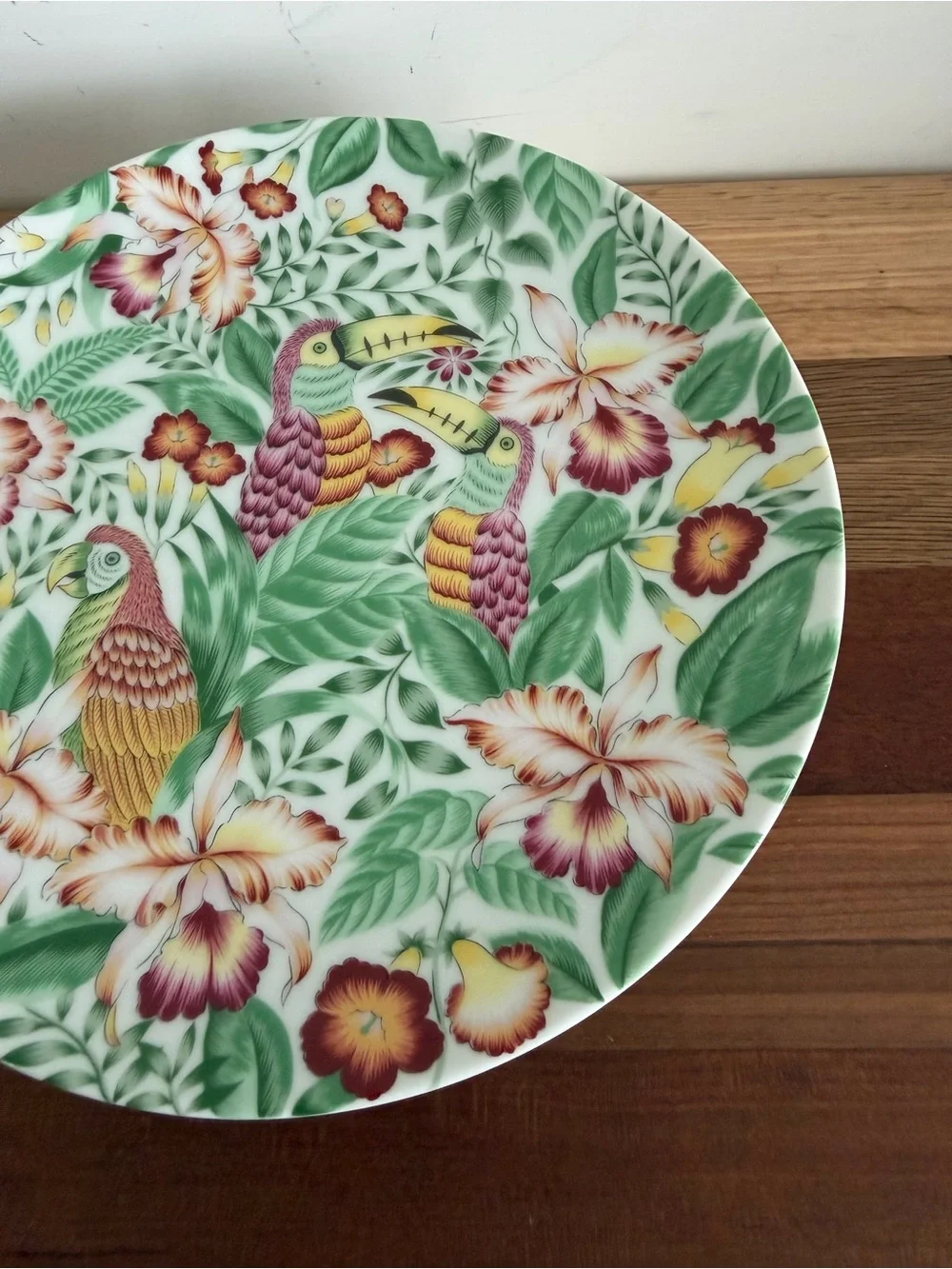 Andrea by Sadek Tropical Motif Plates Parrots Toucans 7.5” Set of 4